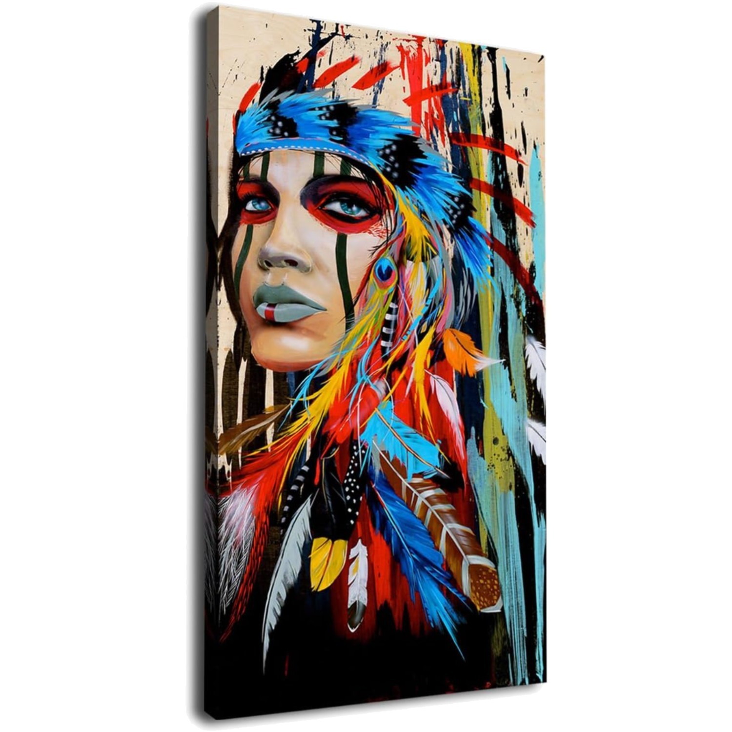 Native American Indian Canvas Wall Art Large Modern Decor Girl with Feathers