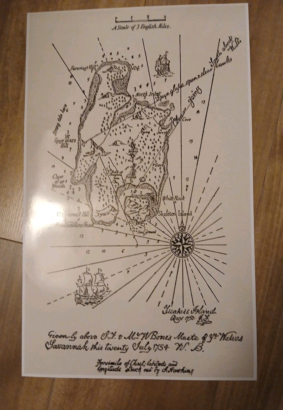 Laminated Treasure Island Map Classic Illustration Pirate Décor 11 X 17