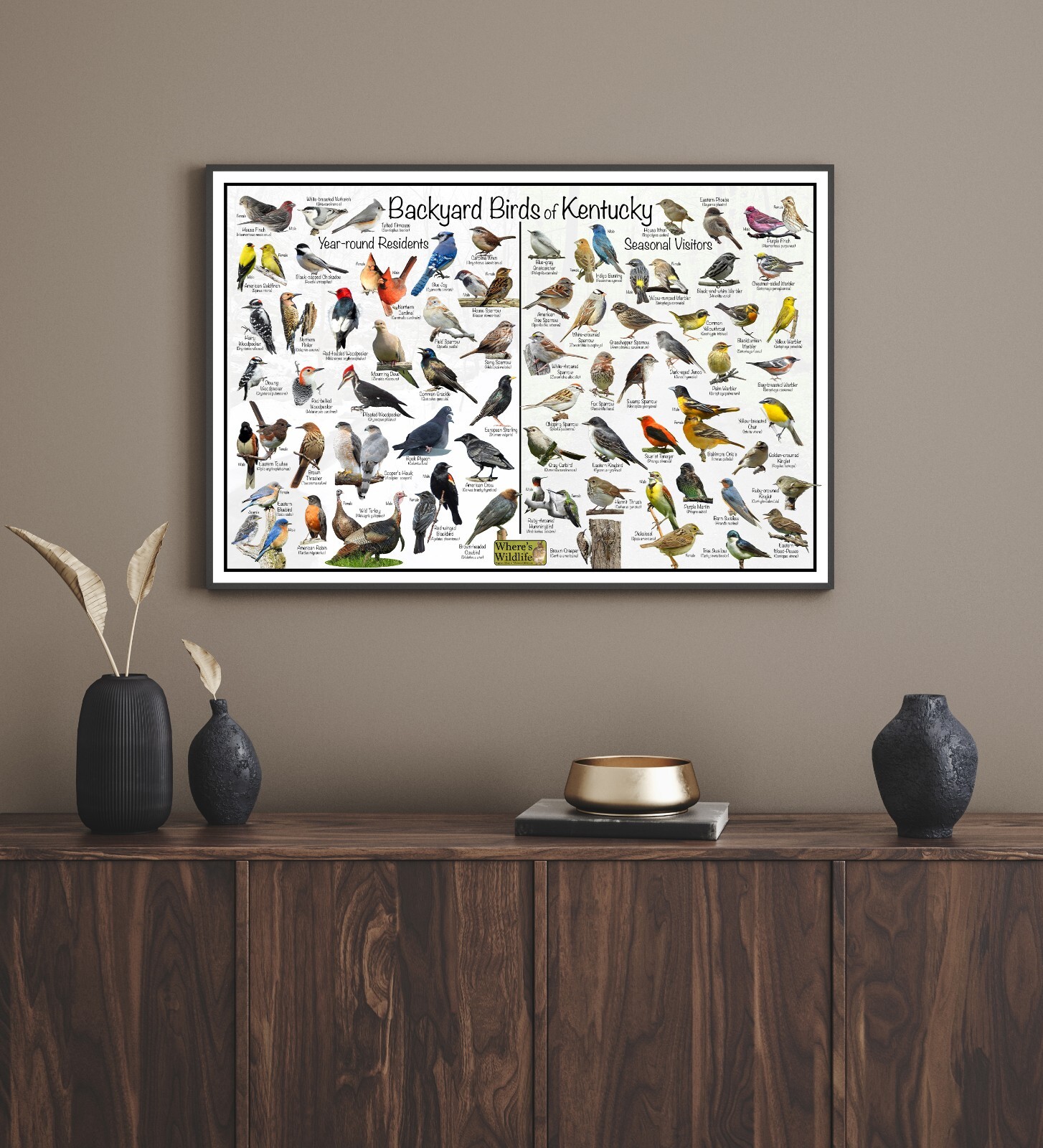 Backyard Birds of Kentucky Bird Identification Nature Poster / Quick Bird Guide