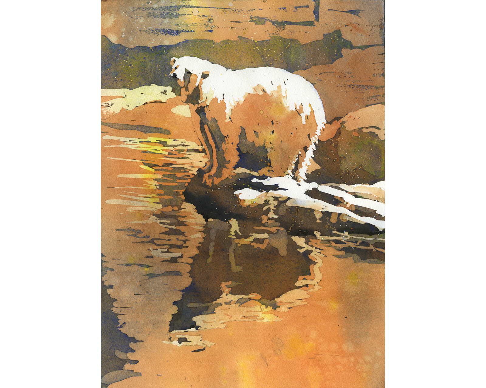Polar bear fine art watercolor painting. Bear mammal artwork fine art (print)