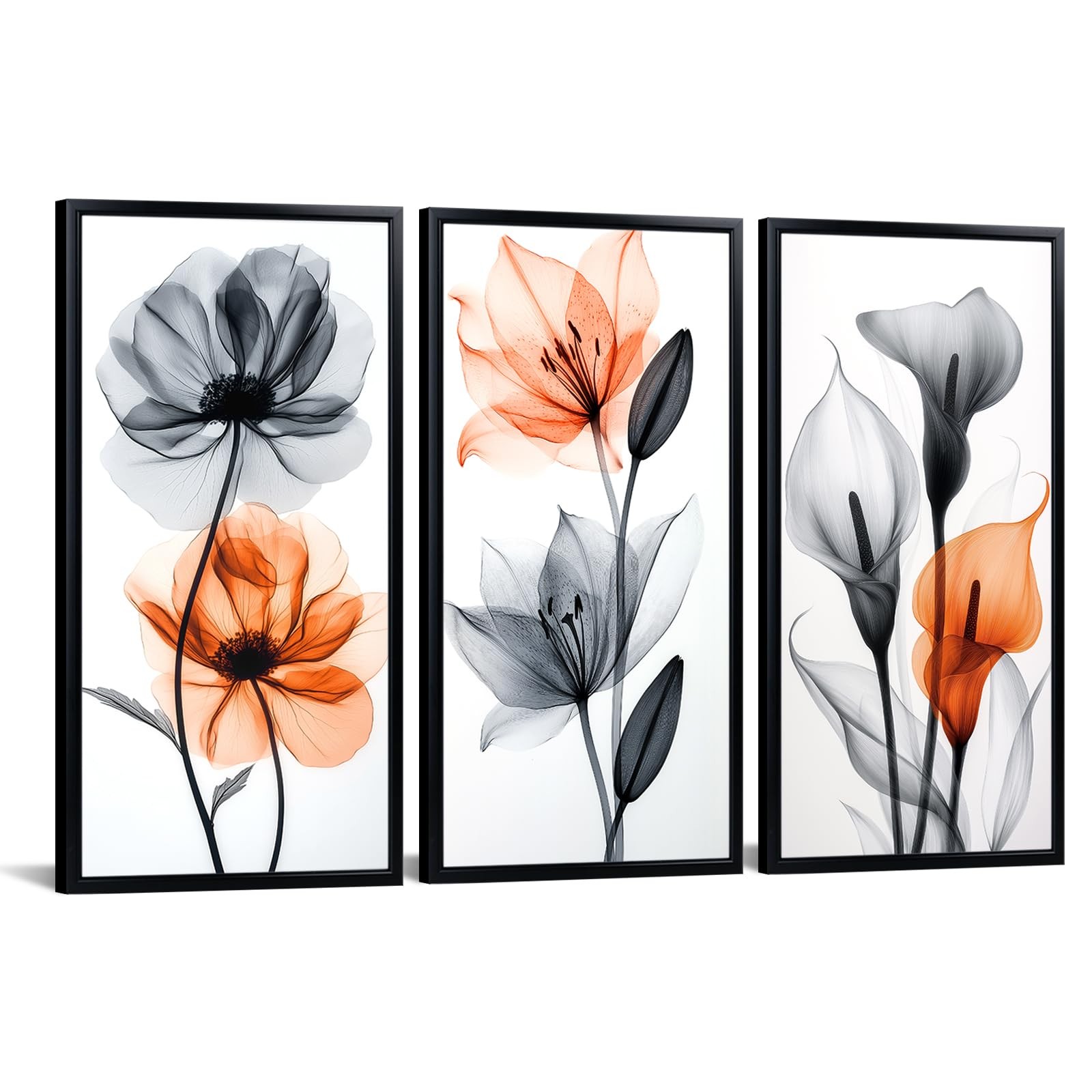 Calla Lily Poppy Flower X-Ray Botanical Wall Art with Black Frame Set of 3 Na…