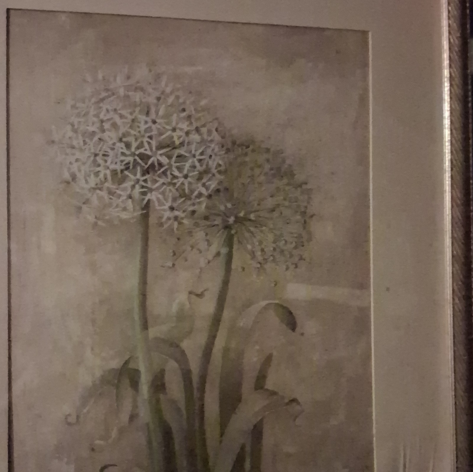 Framed Vertical Floral Print Wall Art, White Flower on Beige Green Background