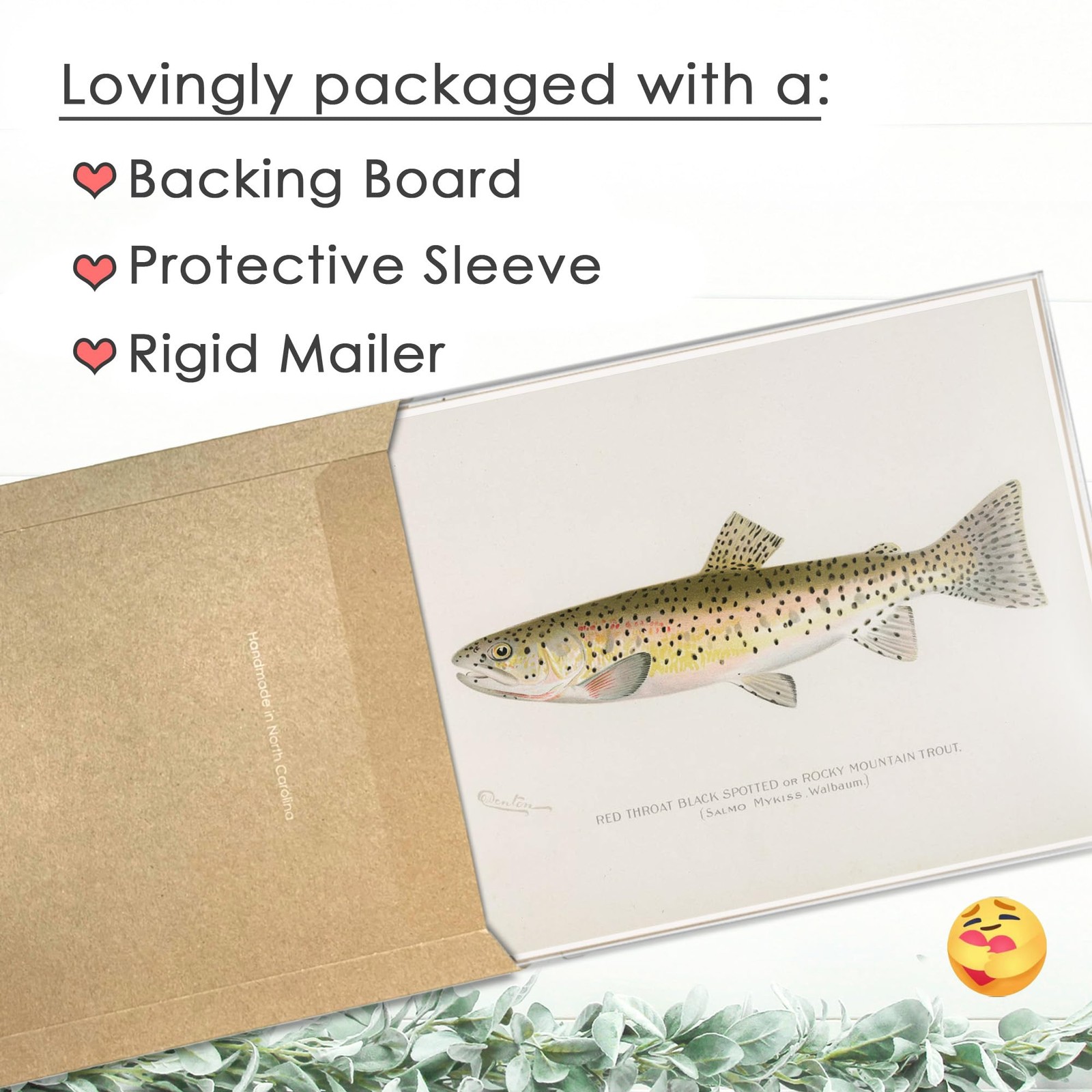 Vintage Fish Species Art Prints (Set of 6) – Unframed – 8×10 | Fishing Wall D…