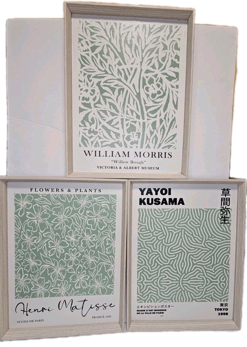Modern Botanical Framed Wall Art Set Matisse Kusama William Morris Sage Green