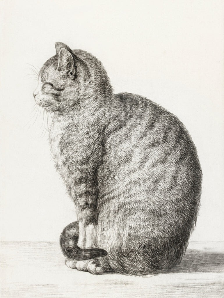 Sitting Cat 1815, Jean Bernard, Wall Art Print Poster 14″ x 11″ 4498