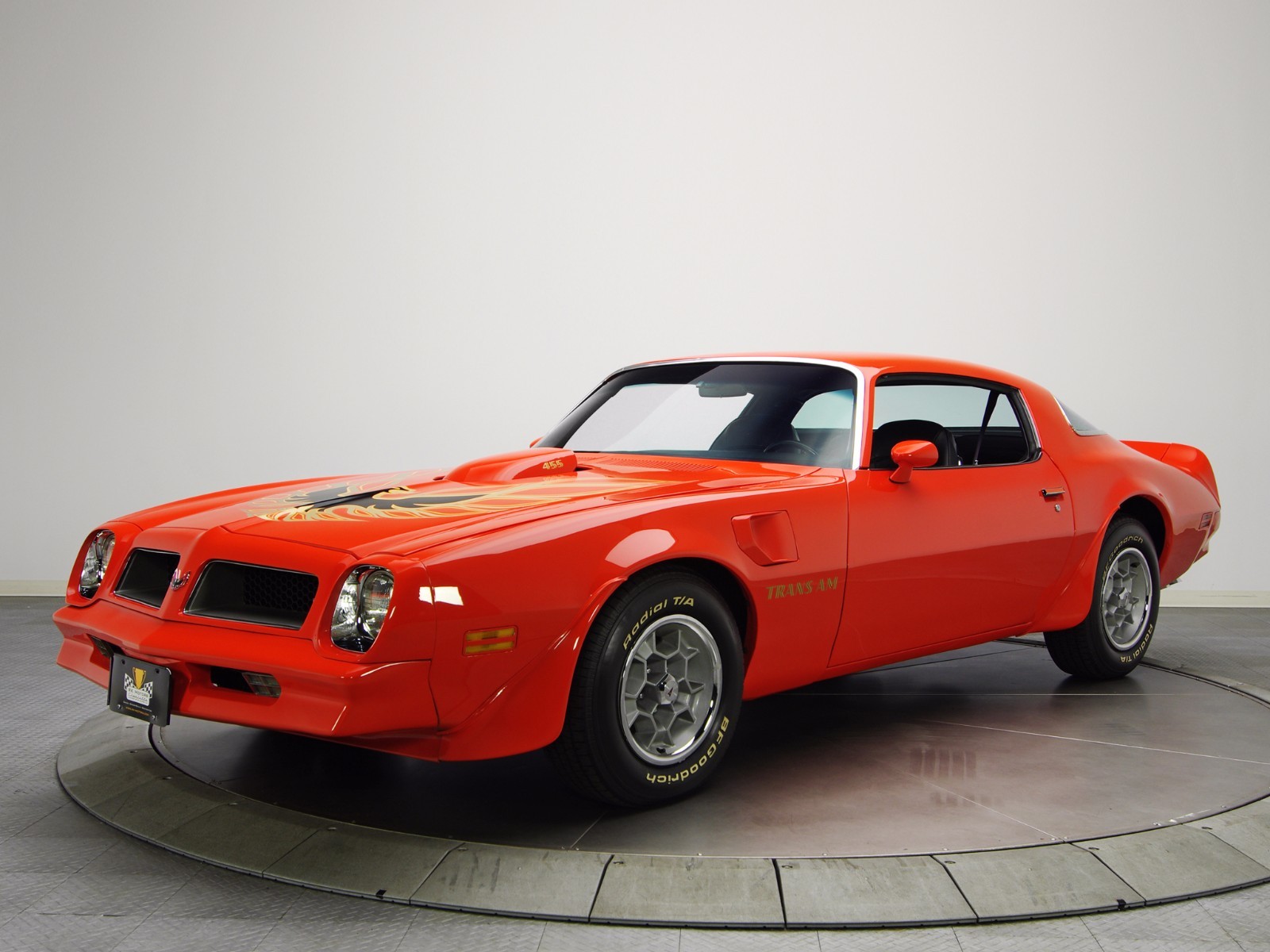 1976 PONTIAC FIREBIRD TRANS AM (RED) POSTER 24 X 36 INCH Looks GREAT!