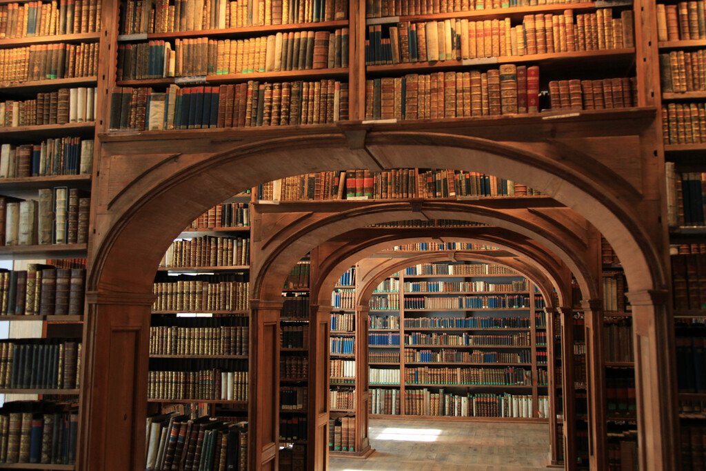 Library Reading Room Shelves of Vintage Antique Books Photo Print Poster 12×18