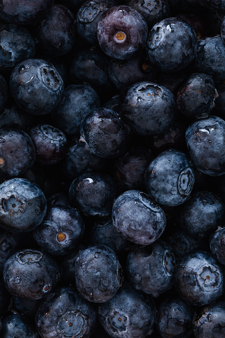 Appetizing Fresh and Sweet Blueberries Art Wall Decor – POSTER 20×30