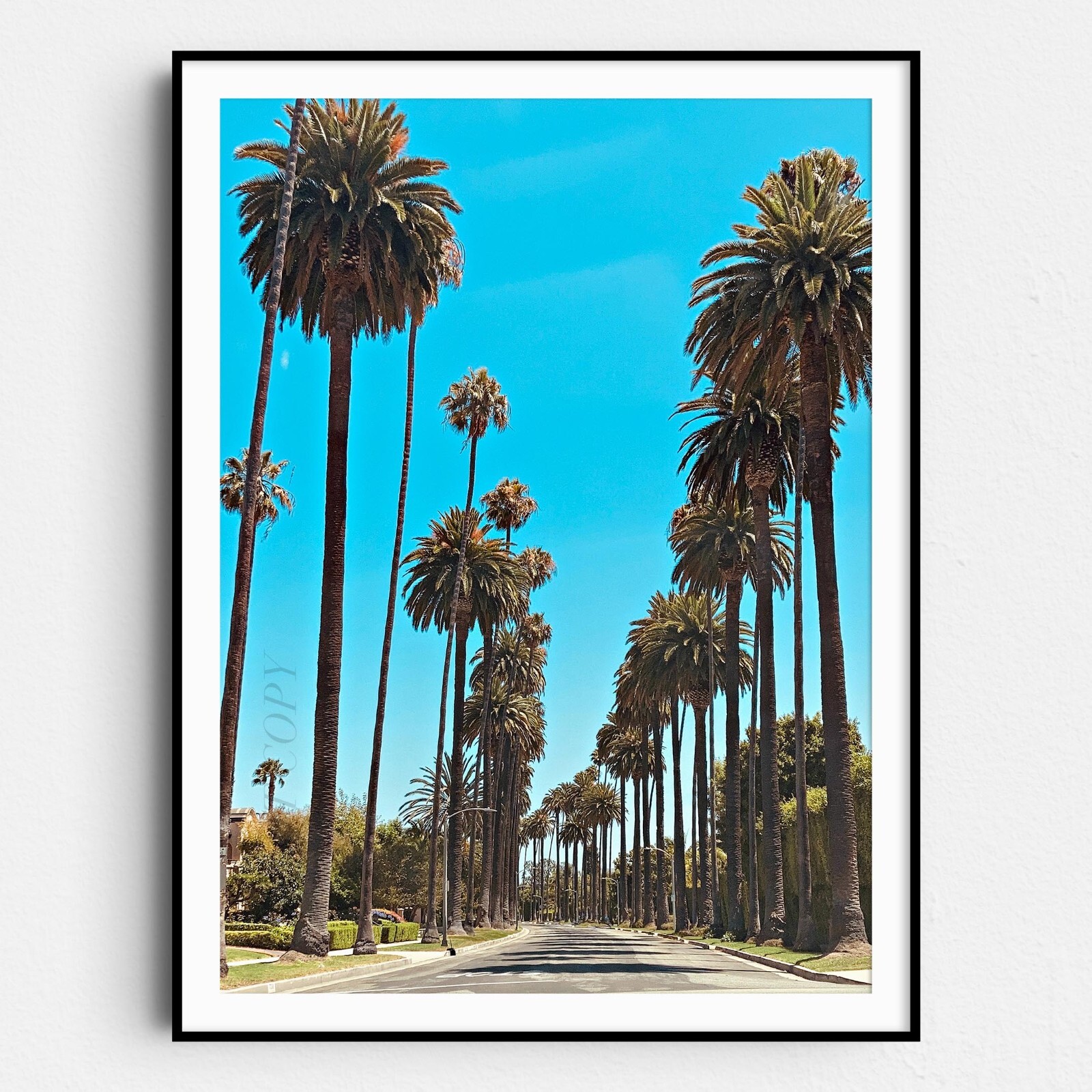 Los Angeles Palm Trees Street Vintage California Wall Art Poster Print