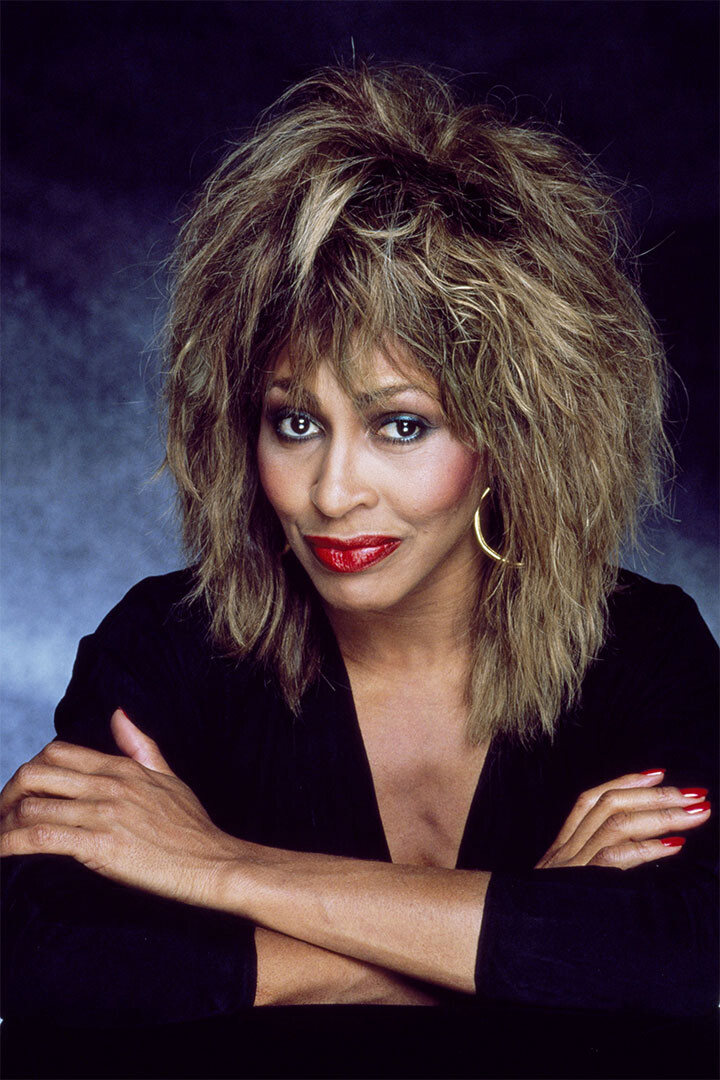Tina Turner Posing American Musican Singer Wall Art Home Decor – POSTER 20″x30″