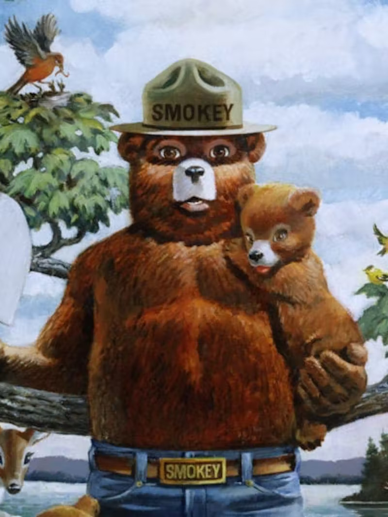 Smokey The Bear Vintage Advertisements 8.5×11 Photo Print