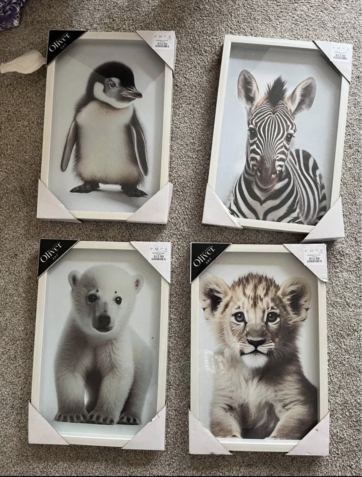 Oliver Set of 4 Framed Baby Animal Wall Art Prints Penguin Zebra Polar Bear Lion