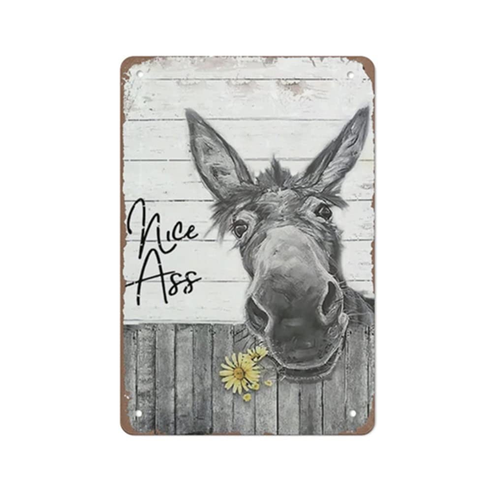 QHOVPA Vintage Donkey Art Metal Signs, Funny Bathroom Toilet Sign Nice Ass Wa…