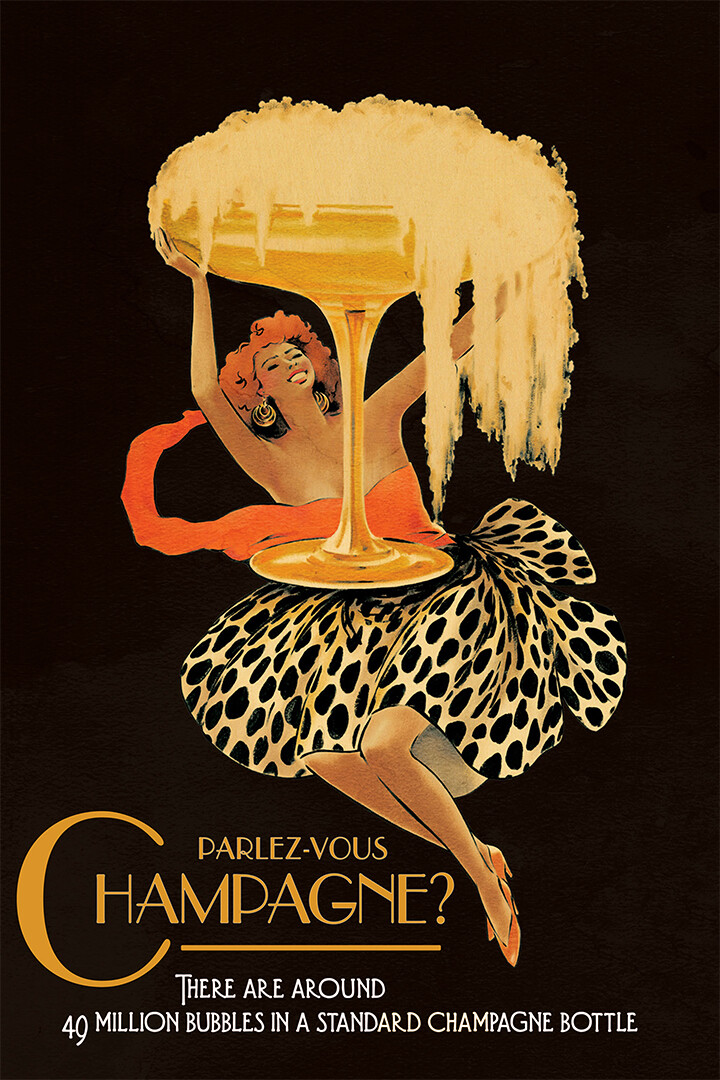 Champagne Parlez Vous Lady Vintage Wall Art Home Decor – POSTER 20×30