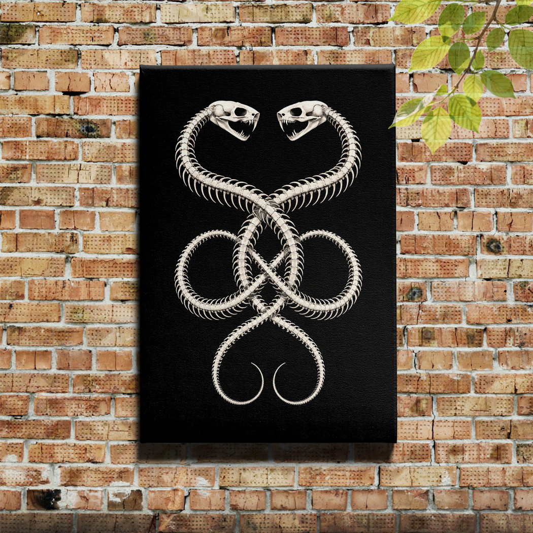 Two snake skeletons white serpent bones on black framed canvas wall art