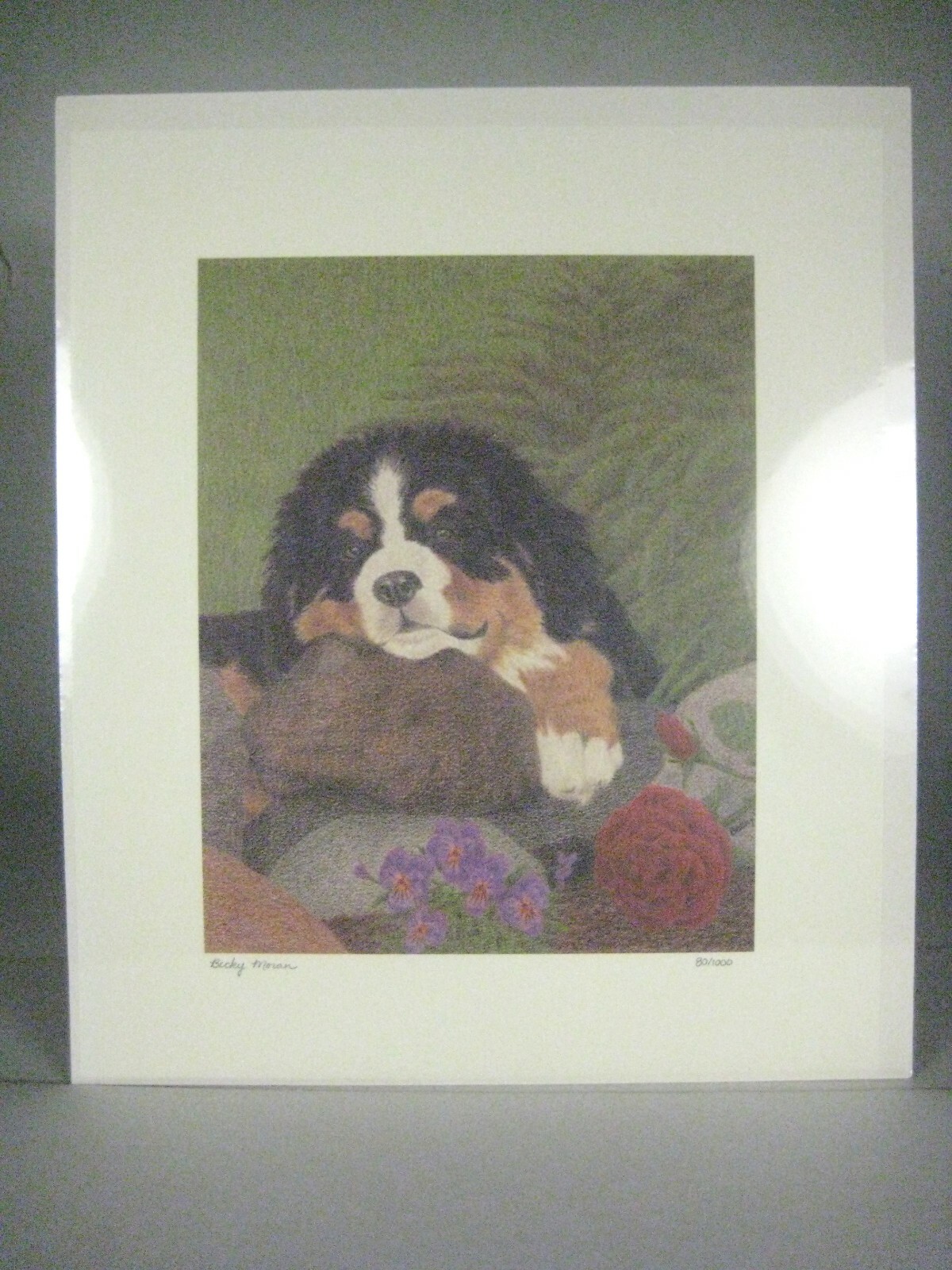 Print Art Dog Bernese Mountain Black Unframed 80/1000 Signed 11 in Moran