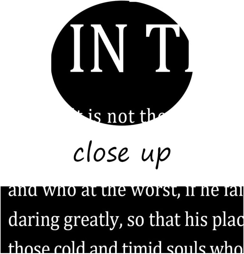 Motivational Wall Art Inspirational the Man in the Arena Quotes Poster Inspiring