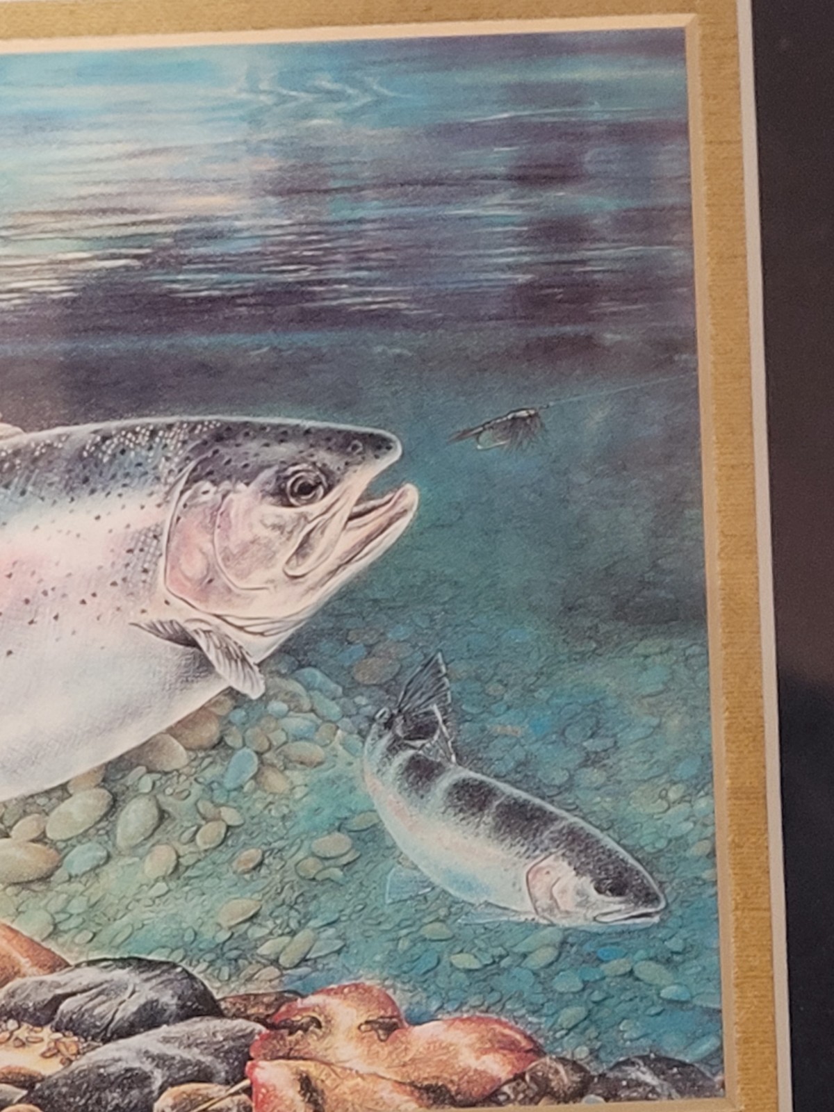 Roberta Baer Rainbows in Fall Trout Print Signed Mat Framed Fly Fish Cabin Art