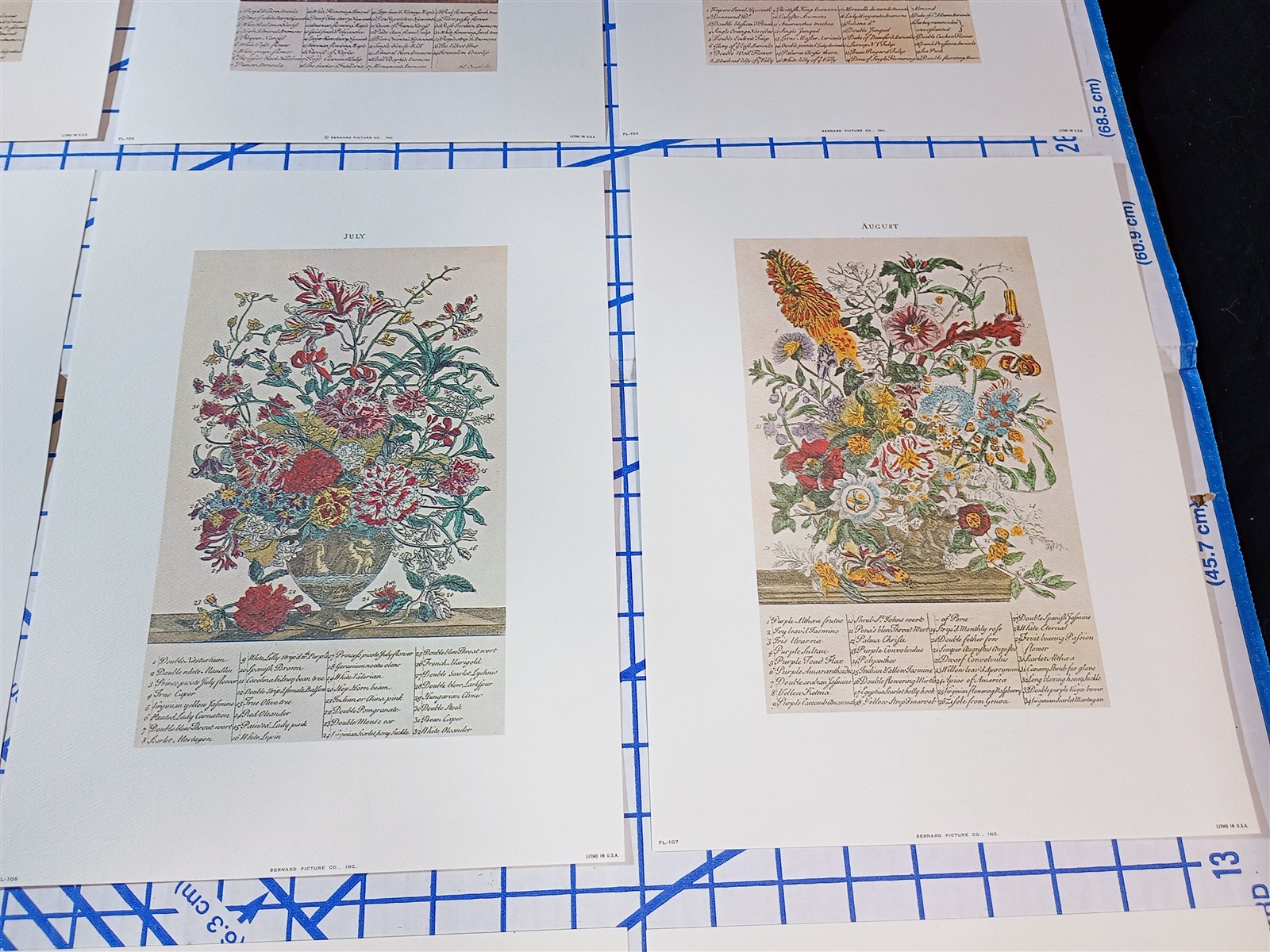 Lot of 12 Art Prints 9 x 12 Flowers of the Month