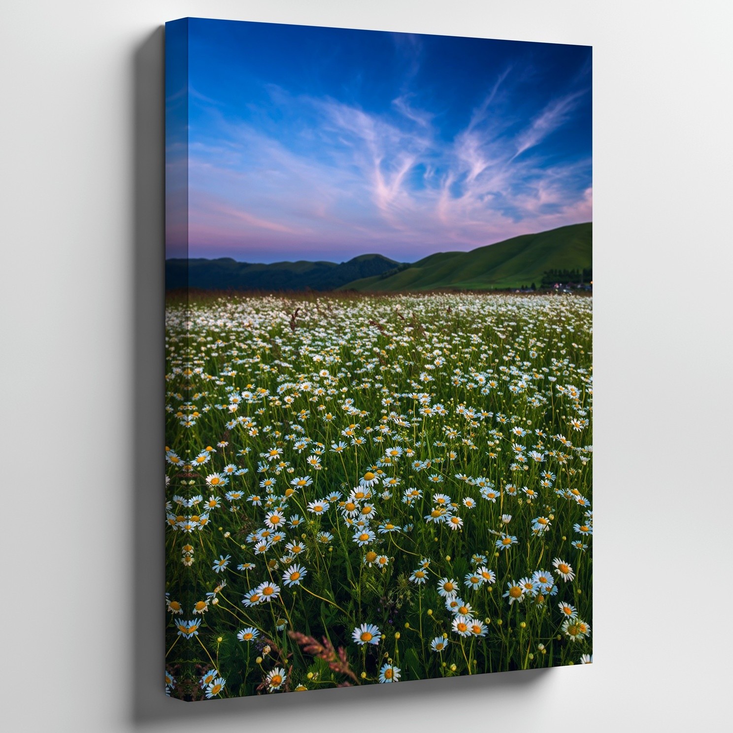 Sweeping View Of A Vibrant Field Filled With Delicate White Daisies Wall Art