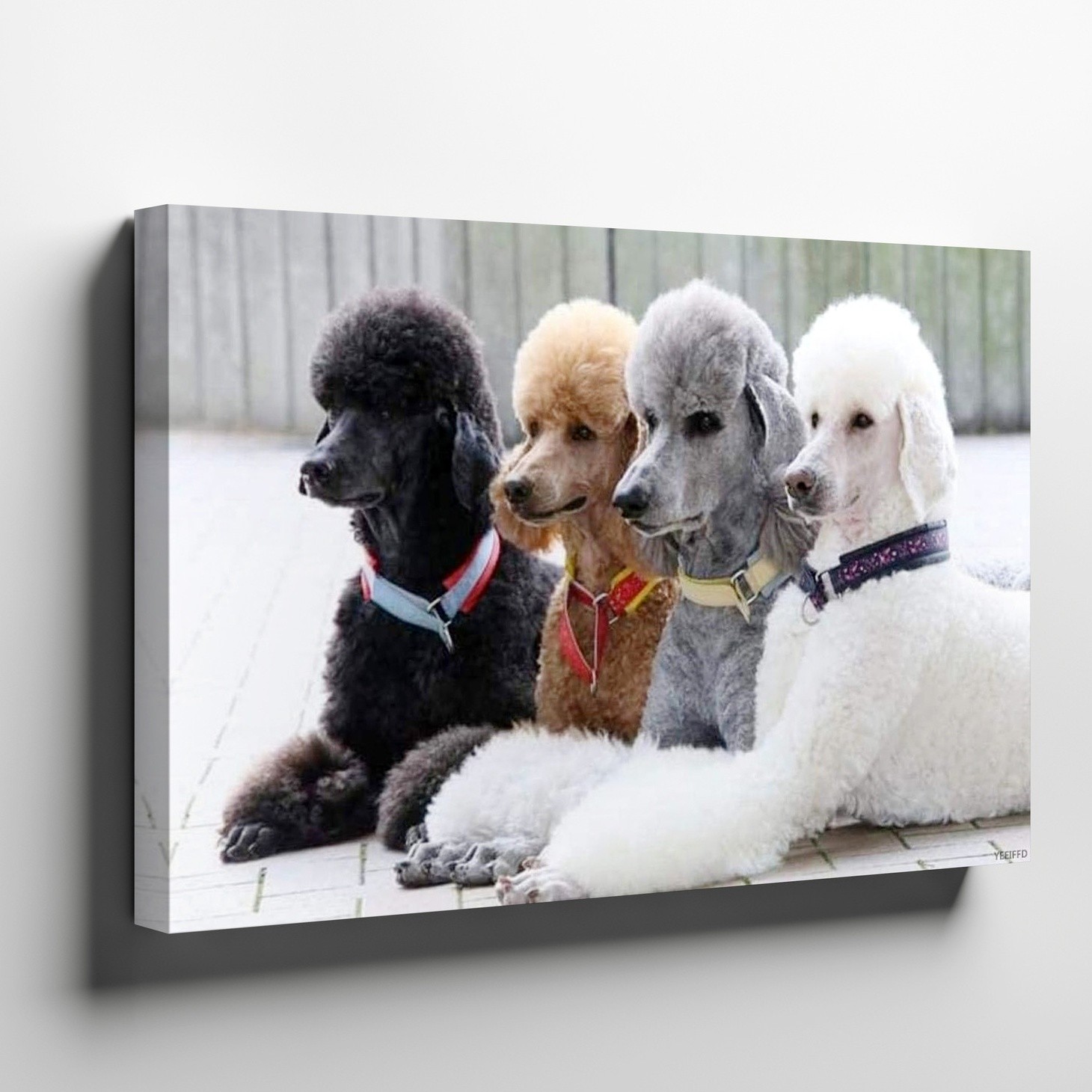 Four Poodles Black Brown Gray White Dog Canvas Wall Art Print Home Decor