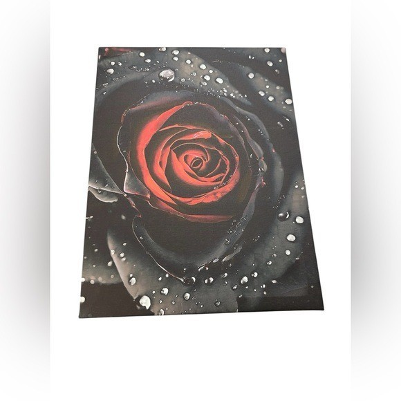 NEW framed canvas art print 16×12 inches