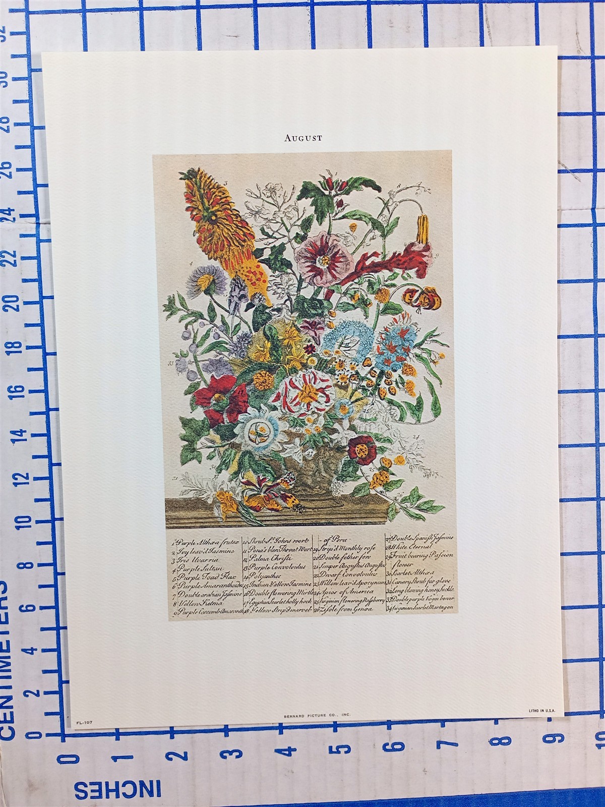 Lot of 12 Art Prints 9 x 12 Flowers of the Month