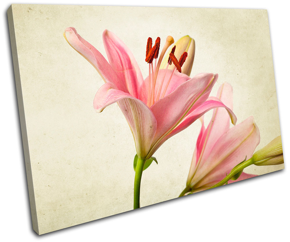Lily Flowers Floral SINGLE CANVAS WALL ART Picture Print VA