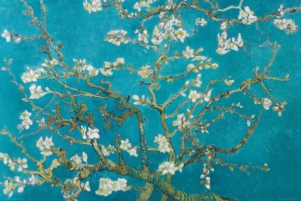 638963 Almond Blossoms 1809 Vincent Von Gogh Wall Decor Poster