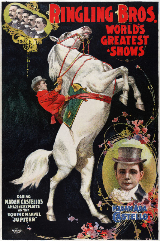 Vintage Circus POSTER.Home wall.Barnum Bailey.Room art Decor.572