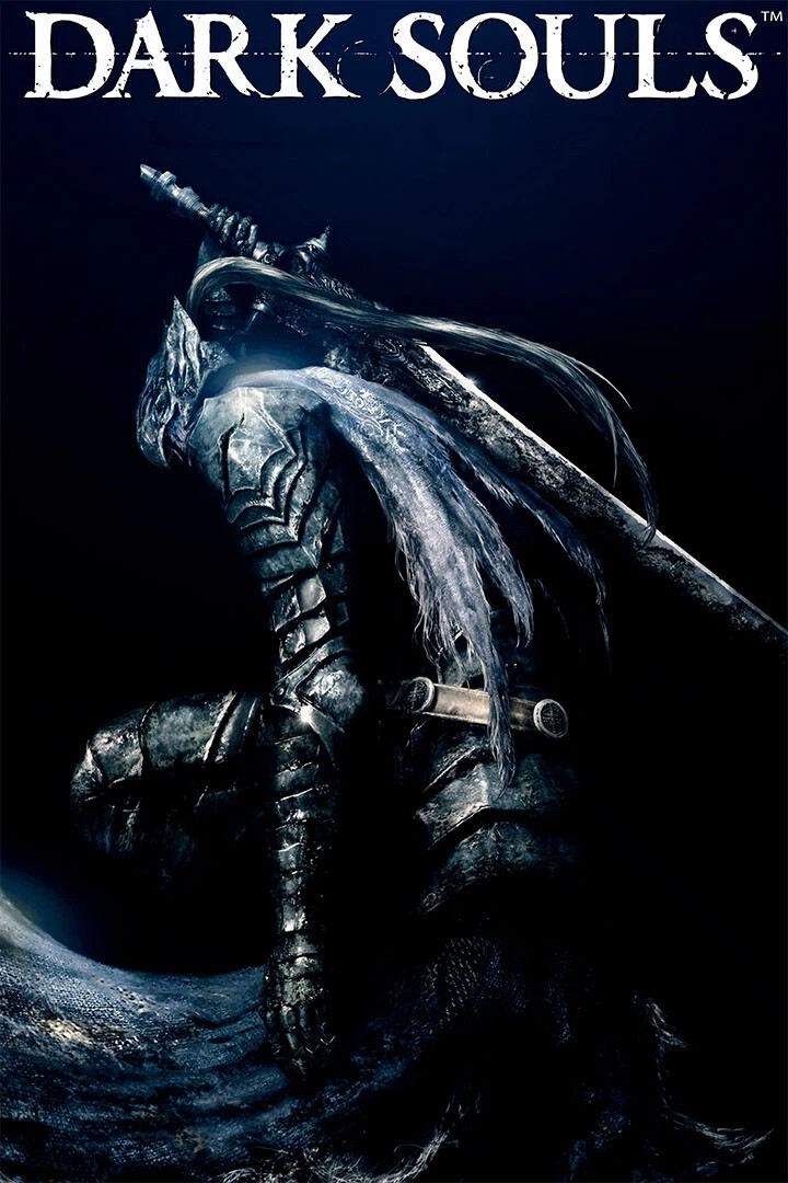 The Video Game Dark Souls Action Role Playing Poster print 11″x17″ home decor