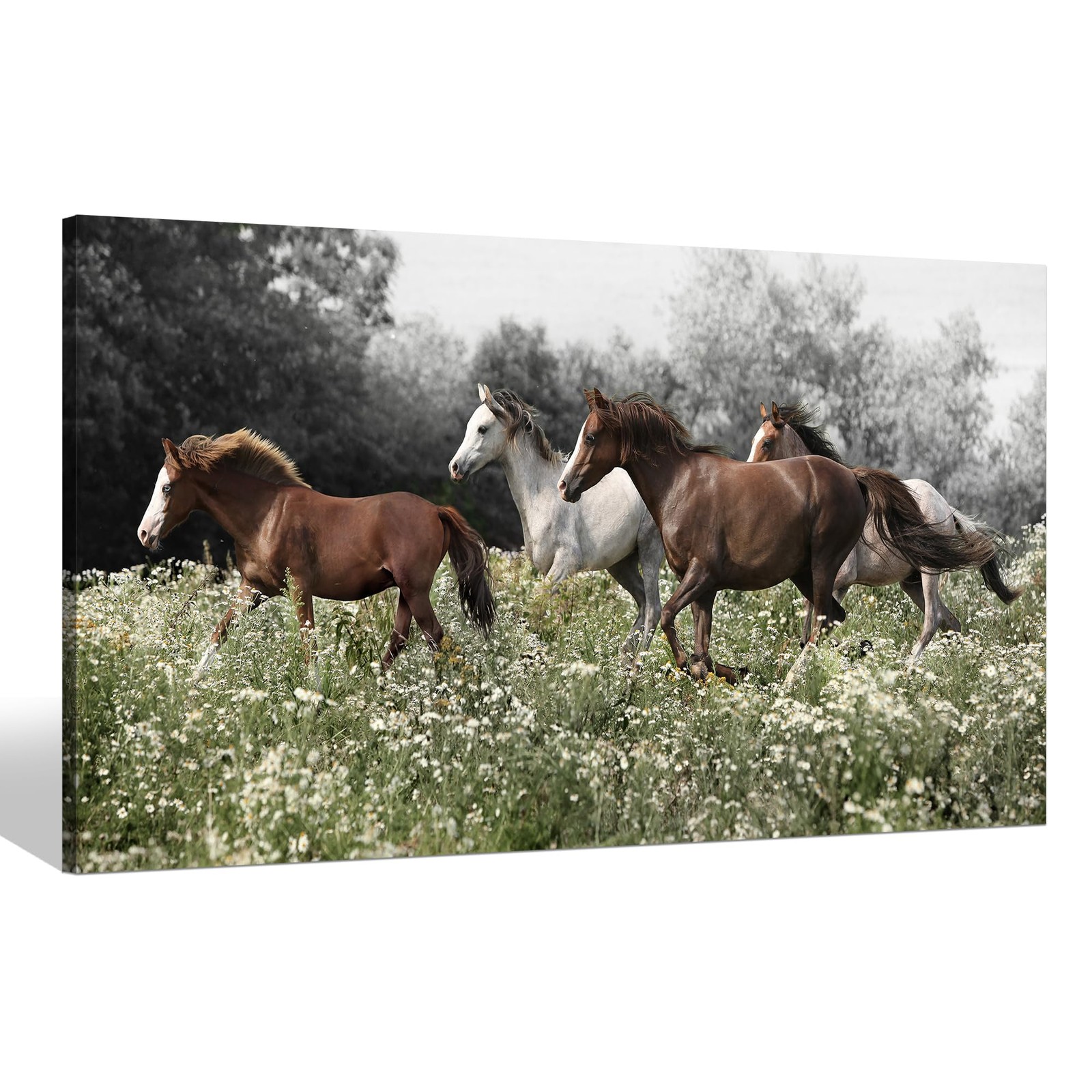 Horse Canvas Wall Art Pictures: Brown and White Horses Print Western Wild Ani…