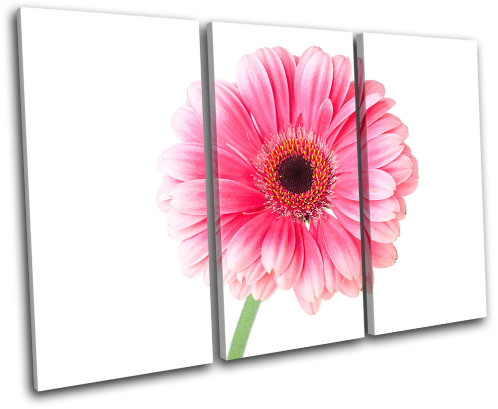 Gerbera Flowers Floral TREBLE CANVAS WALL ART Picture Print VA