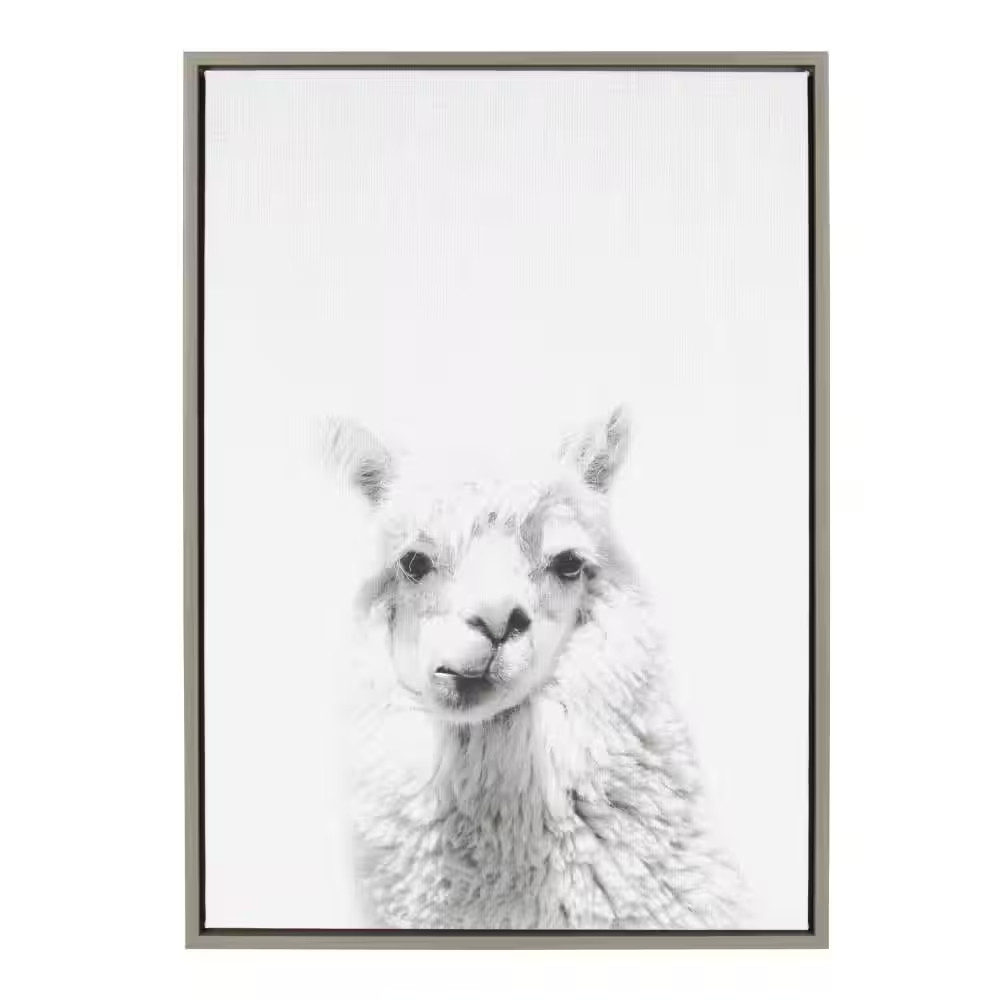 33 In. X 23 In. «Alpaca Portrait» by Tai Prints Framed Canvas Wall Art