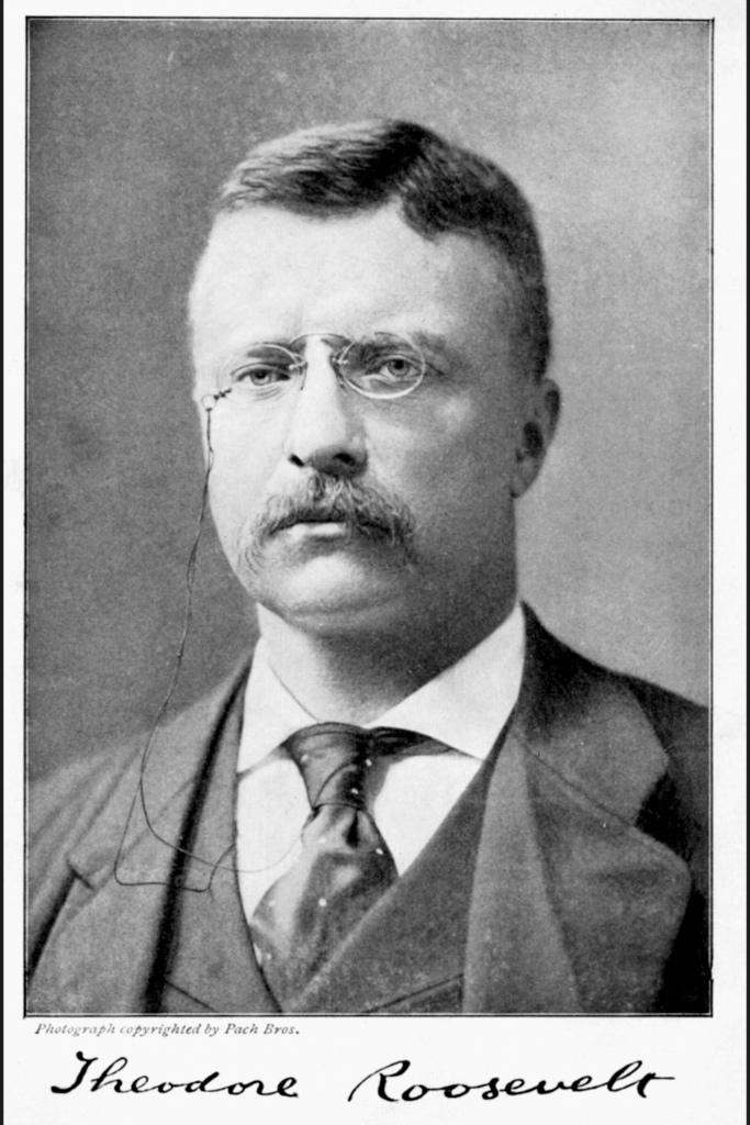Portrait of American President Theodore Roosevelt Poster 16×24