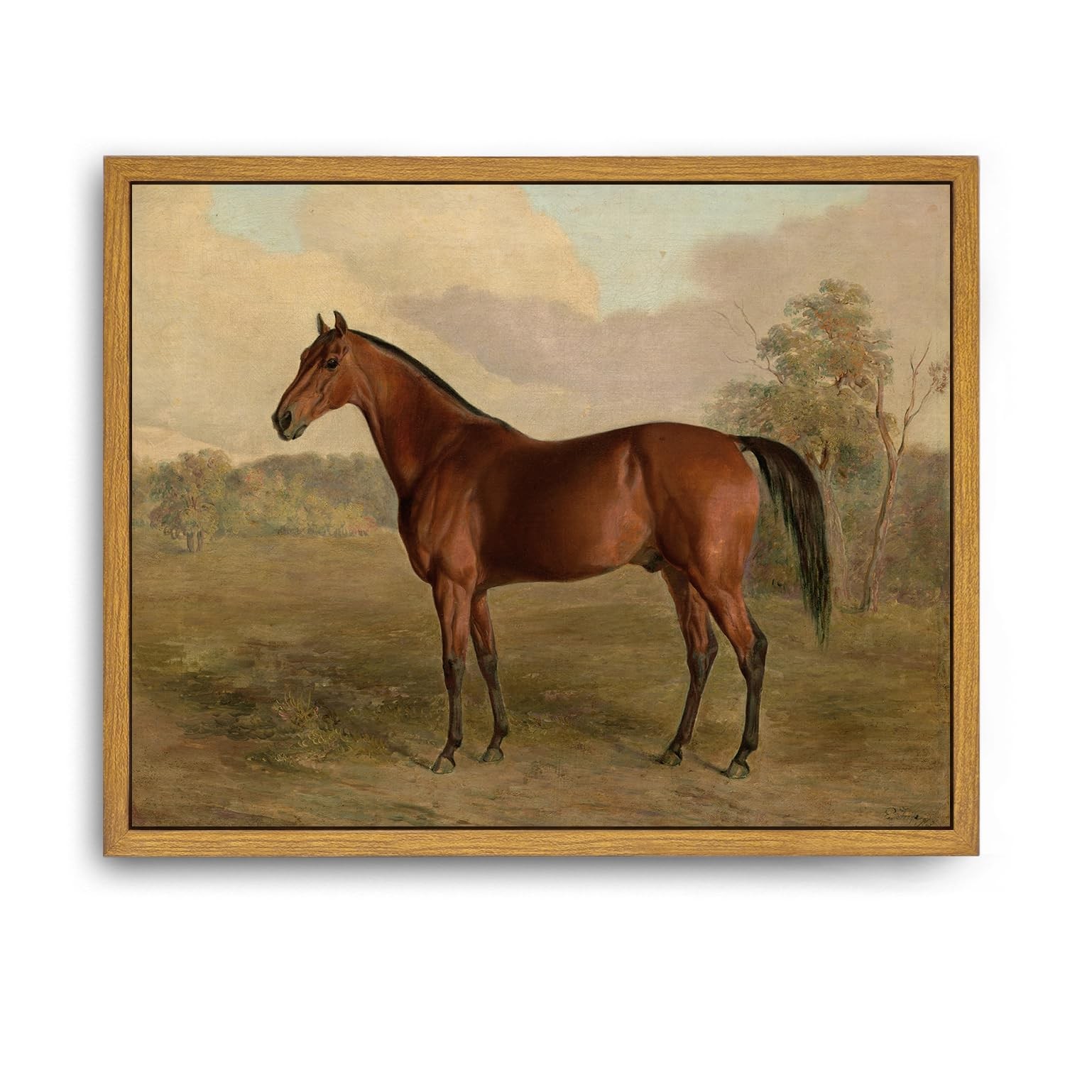 Framed Canvas Wall Art Vintage Print Horse Oil Paintings Animal Country Natur…