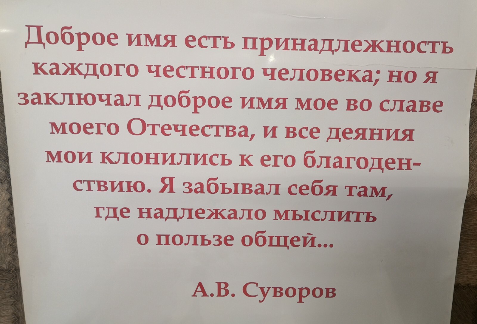 Very big modern printed posters Peter 1 and Suvorov 91×220 cm