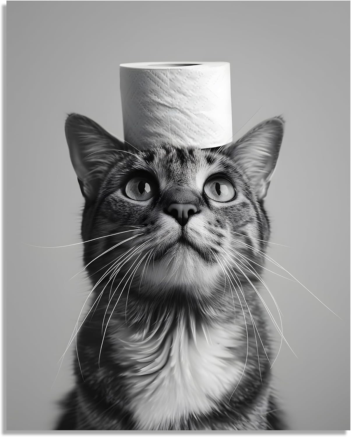 Cat Bathroom Canvas Wall Art Funny Animal Bathroom Wall Art Cat Toilet Paper …