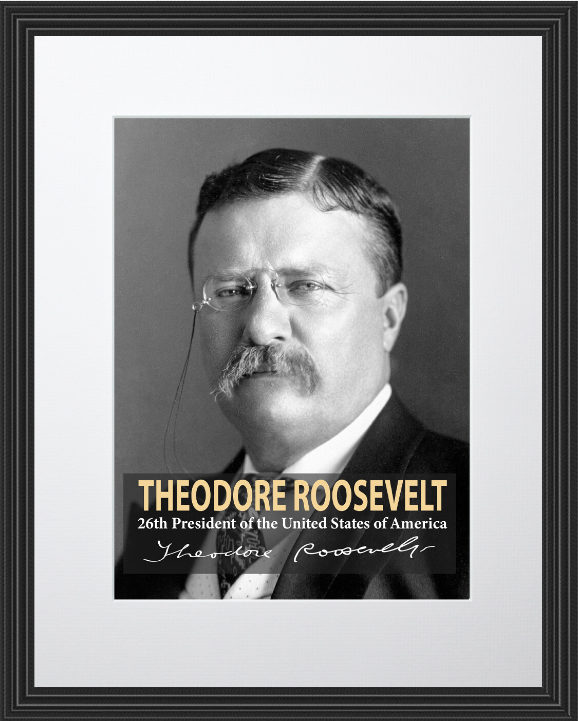 Theodore Roosevelt 26th President Poster Picture or Framed Wall Art