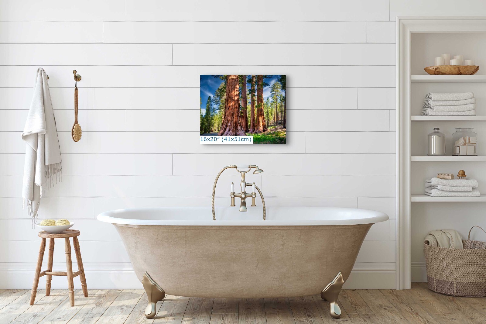 Giant Sequoia Redwood Tree Art, Forest Pictures for a Tree Hugger & Nature Lover