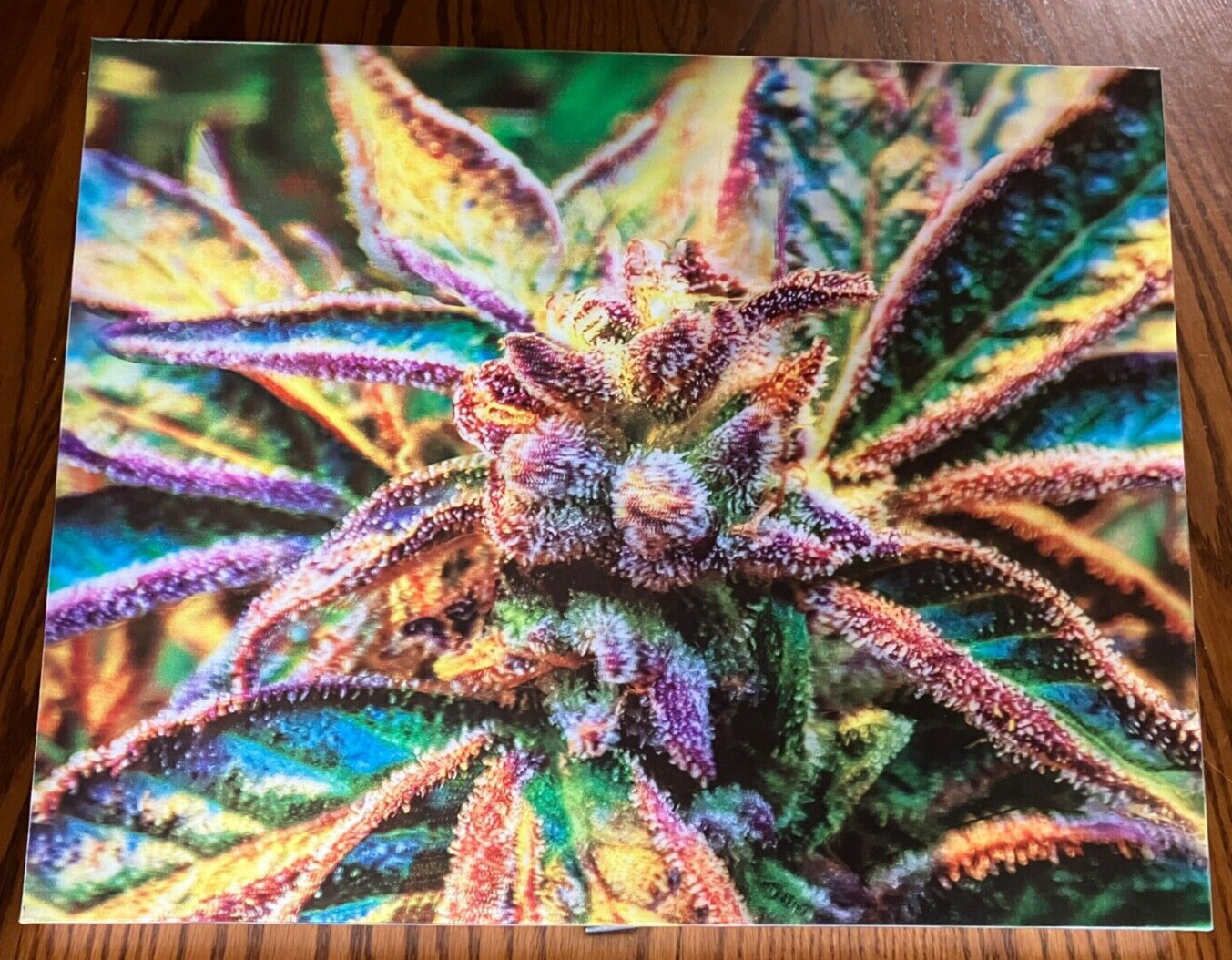 3D LENTICULAR CANNABIS IMAGE POSTER PICTURE WALL ART HOME DECOR SLURRY CRASHER