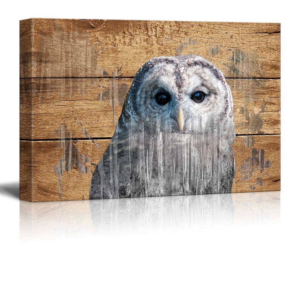 Double Exposure Rustic Canvas Wall Art – An Owl – Modern Wall Decor- 24×36