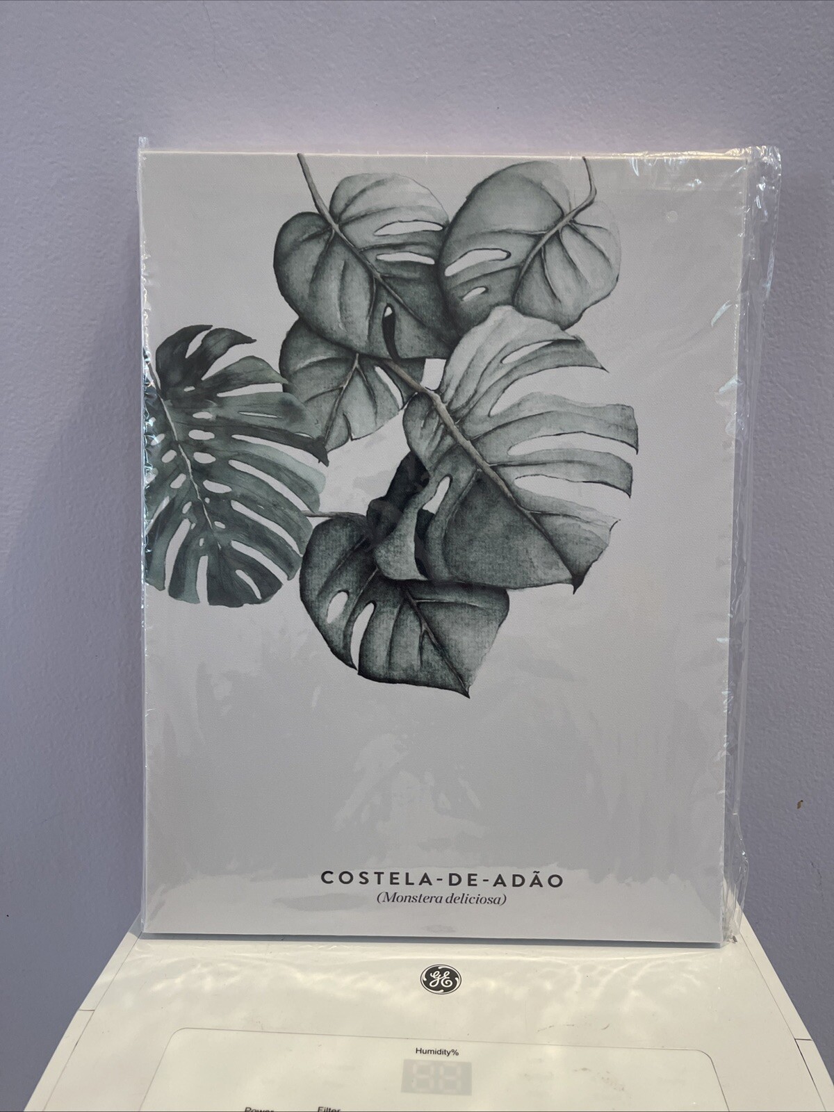 Canvas Print Wall Art 1 2X 16- Potted Palm 3 paintings