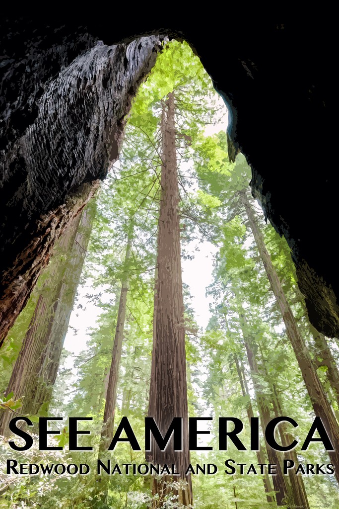 Redwood National and State Parks by Zach Frank Art Print Poster 12×18