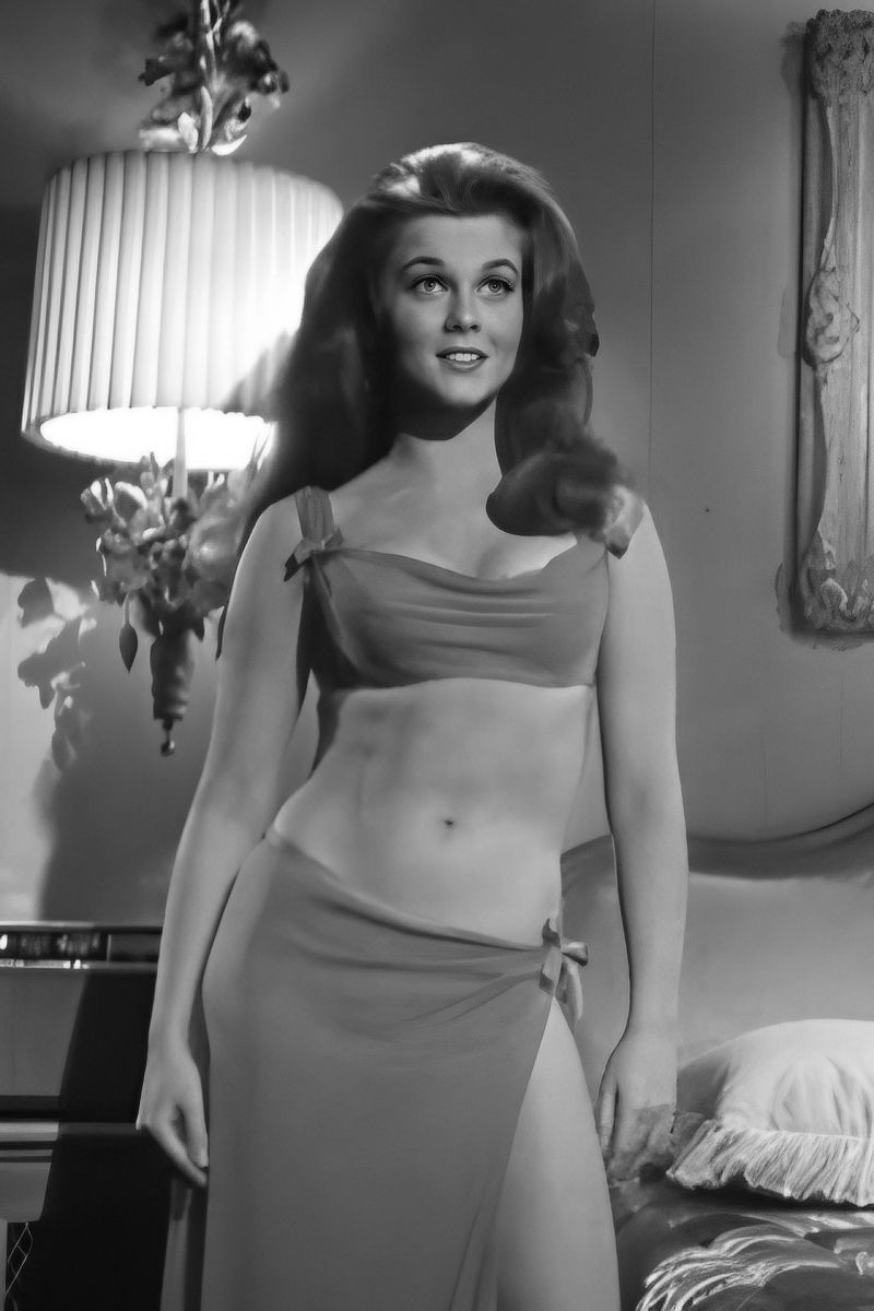 1960s Actress Ann Margret Classic Publicity Picture Poster Photo