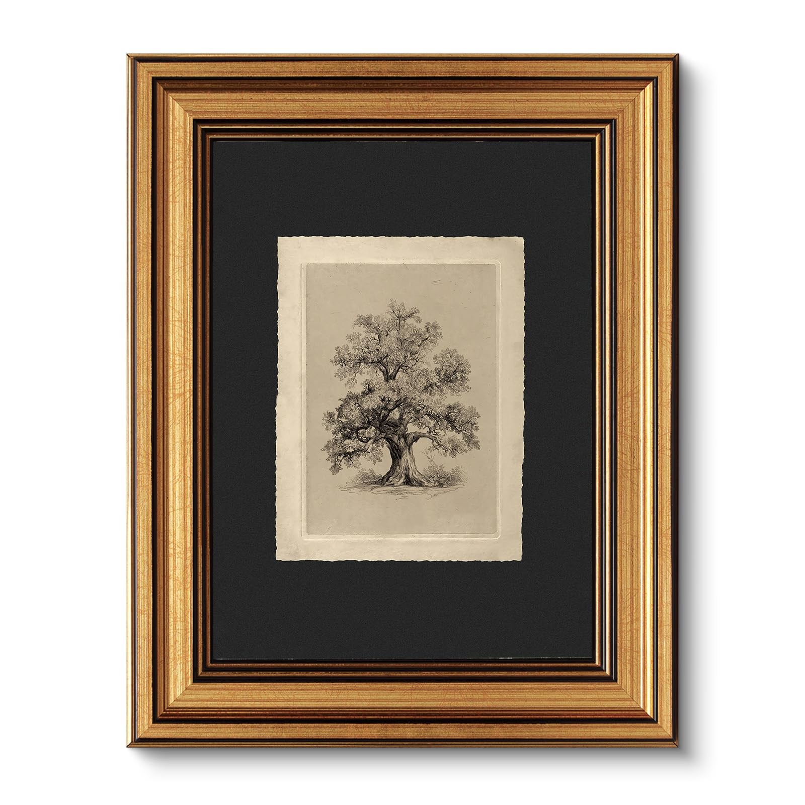 Vintage Gold Framed Wall Art, Botanical Sketch Rustic Farmhouse Decor, Aesthe…