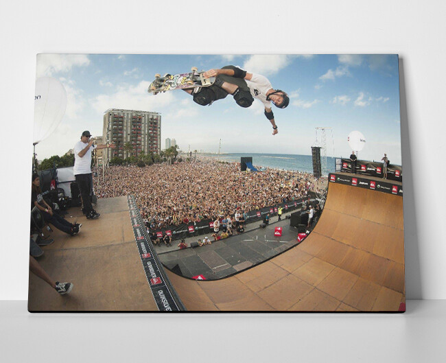 Tony Hawk 900 Poster or Canvas