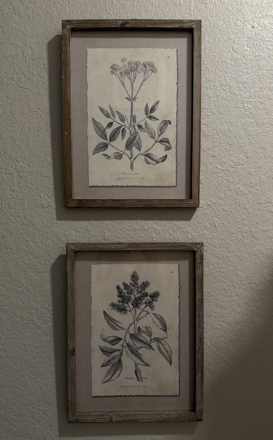 Set of 2 Framed Botanical Prints, Vertical Wall Art Decor, Wood & Paper