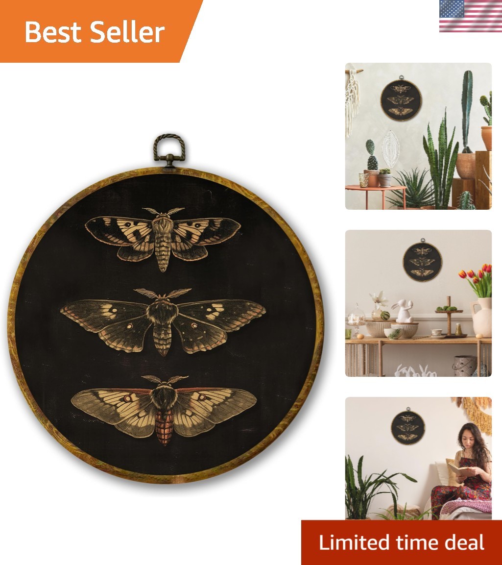 Vintage Butterfly Framed Canvas Art 10×10 – Rustic Decor for Homes