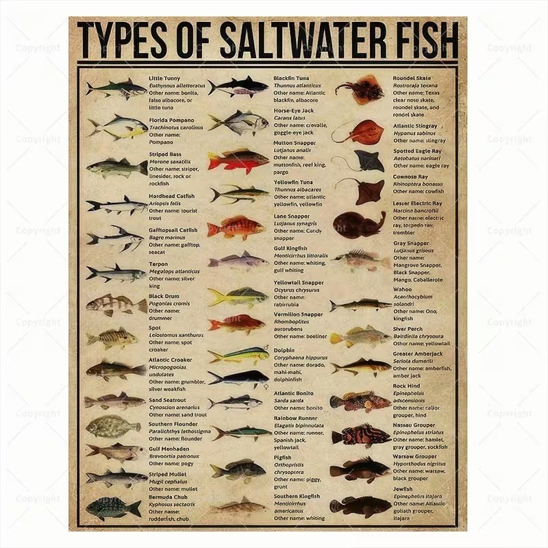 Types of Saltwater Fish Educational Poster Marine Life Chart Wall Art Print